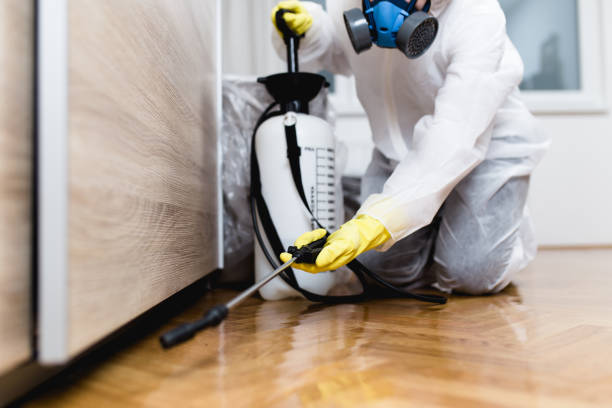 Best Commercial Pest Control Services  in Knoxvle, IL