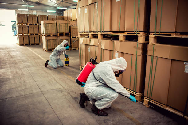 Best Cockroach Control Services  in Knoxvle, IL