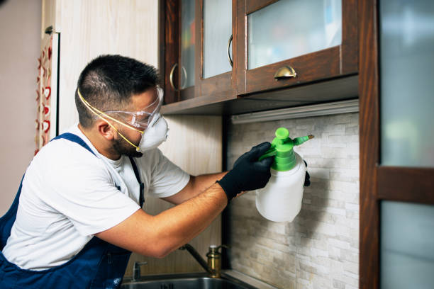 Best Mosquito Control Services  in Knoxvle, IL