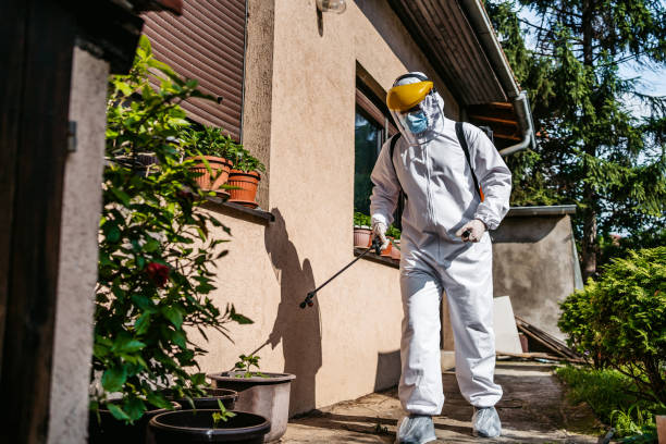 Best Rodent Control Near Me  in Knoxvle, IL