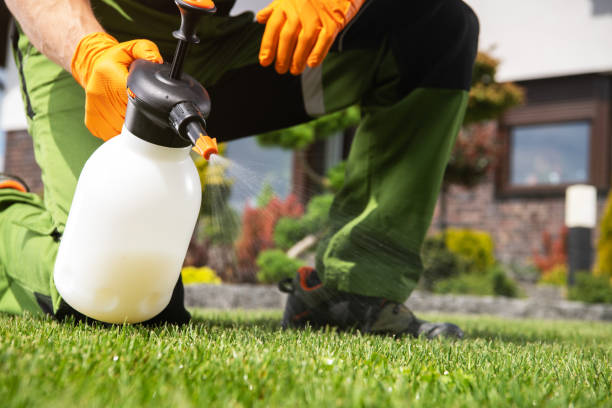 Best Exterminator Services  in Knoxvle, IL