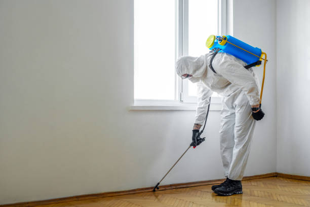 Best Mosquito Control Services  in Knoxvle, IL