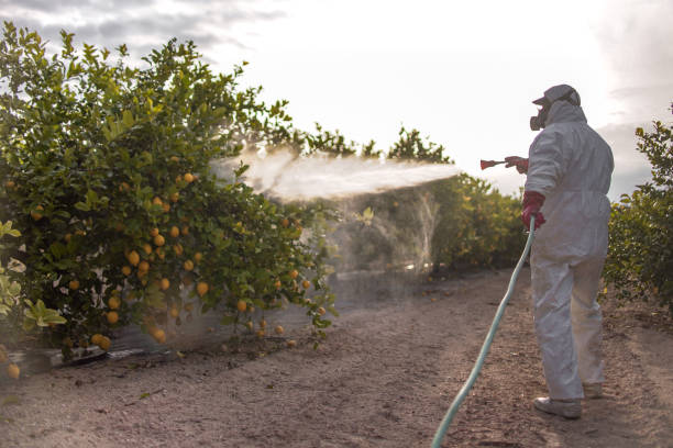 Professional Pest Control in Knoxville, IL