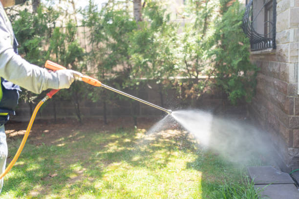 Best Cockroach Control Services  in Knoxvle, IL
