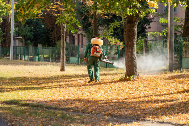 Best Exterminator Services  in Knoxvle, IL