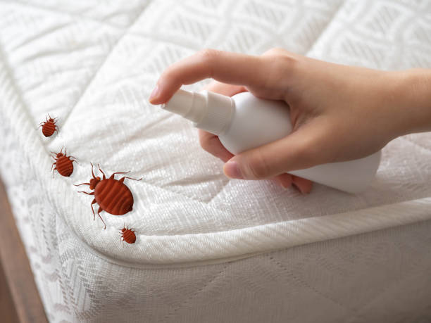 Best Best Pest Control Companies  in Knoxvle, IL