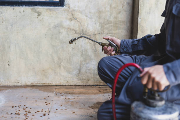 Best Emergency Pest Control  in Knoxvle, IL
