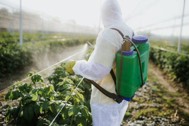 Best Best Pest Control Companies  in Knoxvle, IL